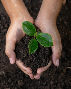 SOIL